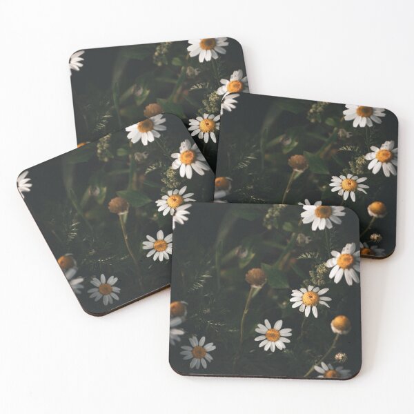 Item preview, Moody White Chamomile Daisies Dark Botanical Photography designed and sold by wildsilencee.