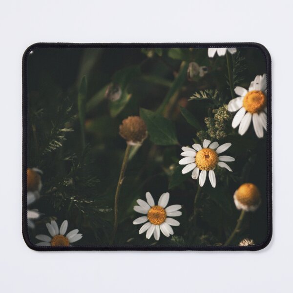 Item preview, Moody White Chamomile Daisies Dark Botanical Photography designed and sold by wildsilencee.