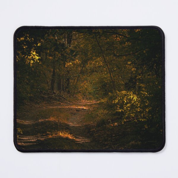 Item preview, Moody Dark Forest Trail Golden Sunlight Woodland Art designed and sold by wildsilencee.