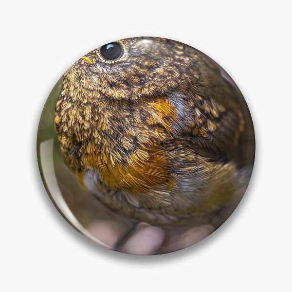 Item preview, Detailed Robin designed and sold by PeterLeahy.