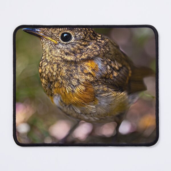 Item preview, Detailed Robin designed and sold by PeterLeahy.