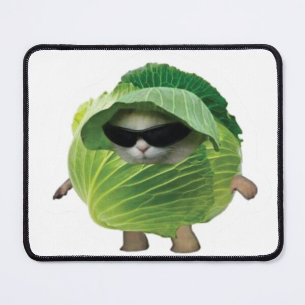 Item preview, Cool Cabbage Cat Meme Sticker designed and sold by cchickennugget.