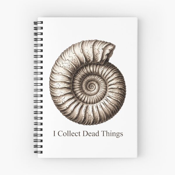 Artikelvorschau, Ich sammle tote Dinge Ammonitenfossil entworfen und verkauft von Sekla-Studio.