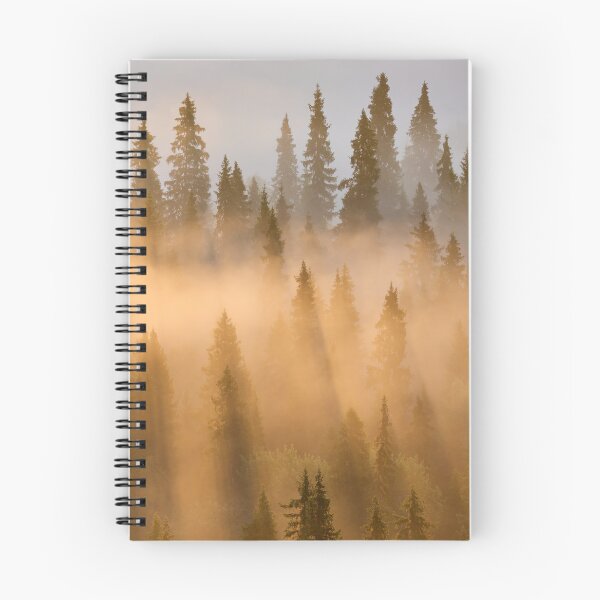 Item preview, Taiga. Early Morning at Pahkanakallio 34 designed and sold by Jouko Lehto Photography.