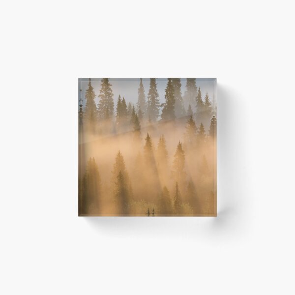 Item preview, Taiga. Early Morning at Pahkanakallio 34 designed and sold by Jouko Lehto Photography.