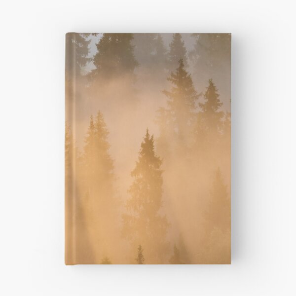 Item preview, Taiga. Early Morning at Pahkanakallio 34 designed and sold by Jouko Lehto Photography.