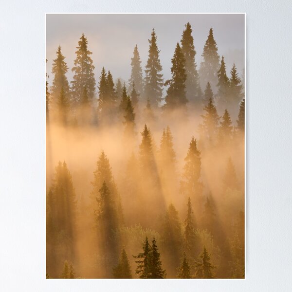 Item preview, Taiga. Early Morning at Pahkanakallio 34 designed and sold by Jouko Lehto Photography.