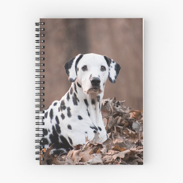 Item preview, Dalmatian Dog Relaxing in Autumn Leaves designed and sold by VanGaldo.