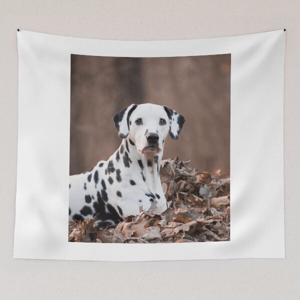 Item preview, Dalmatian Dog Relaxing in Autumn Leaves designed and sold by VanGaldo.