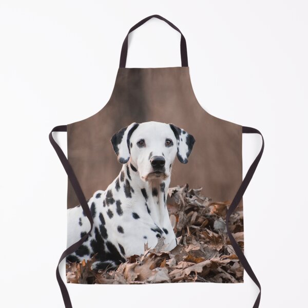 Item preview, Dalmatian Dog Relaxing in Autumn Leaves designed and sold by VanGaldo.