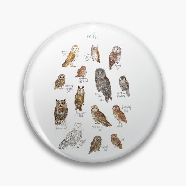 Item preview, Educational Watercolor Owl Species Chart Nature Illustration designed and sold by clowesnasmer.
