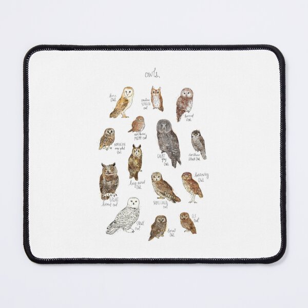 Item preview, Educational Watercolor Owl Species Chart Nature Illustration designed and sold by clowesnasmer.