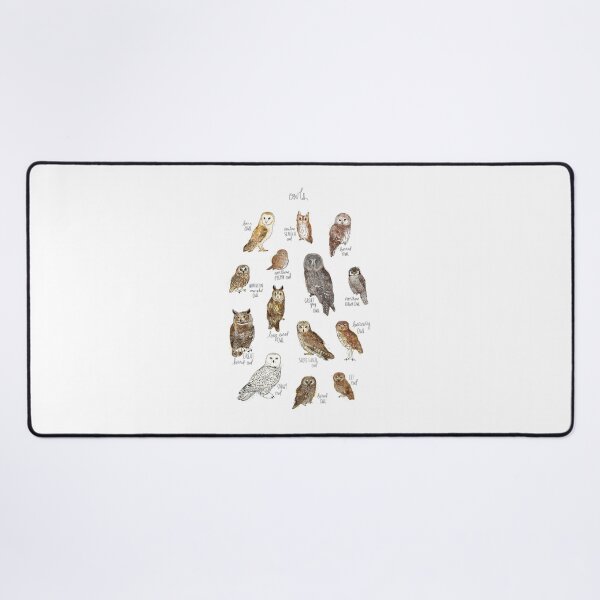 Item preview, Educational Watercolor Owl Species Chart Nature Illustration designed and sold by clowesnasmer.