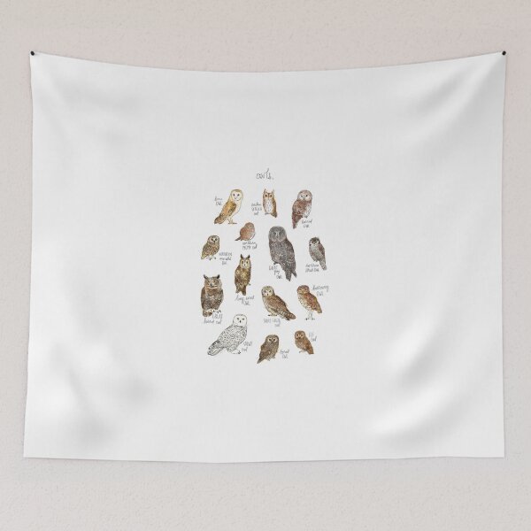 Item preview, Educational Watercolor Owl Species Chart Nature Illustration designed and sold by clowesnasmer.