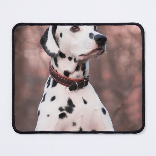 Item preview, Majestic Dalmatian Dog in Autumn Woods designed and sold by VanGaldo.