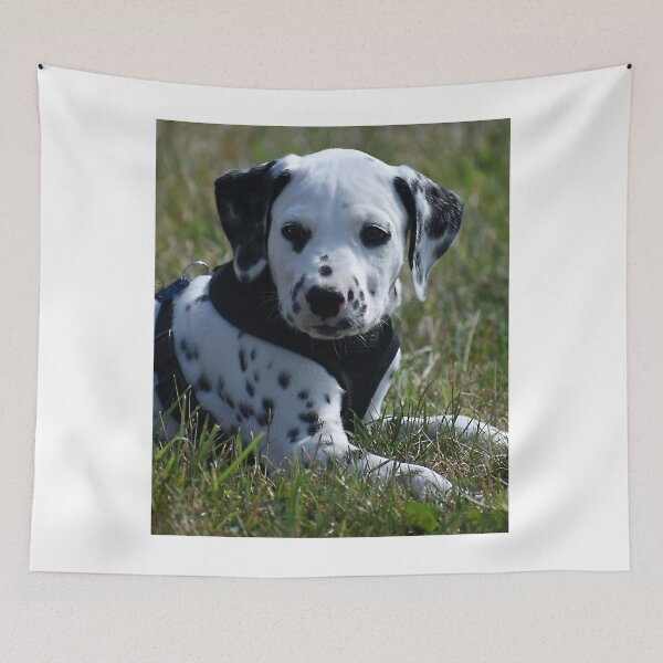 Item preview, Adorable Dalmatian Puppy Relaxing in Grass designed and sold by VanGaldo.