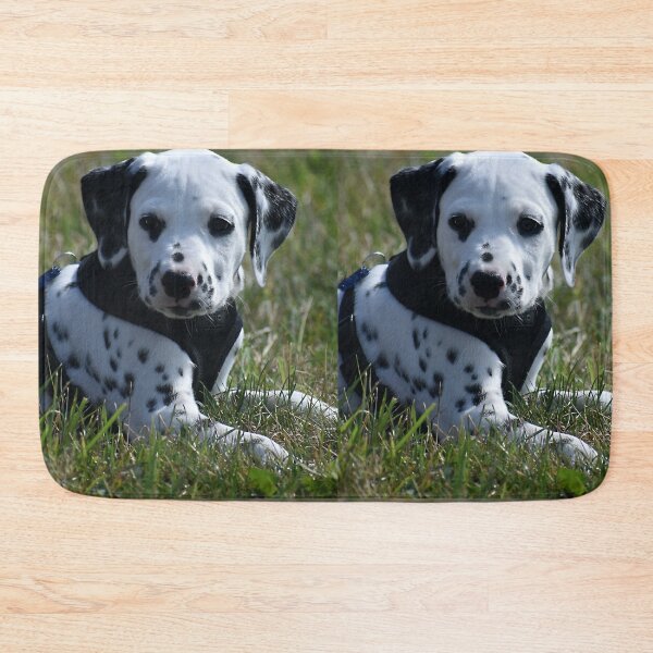 Item preview, Adorable Dalmatian Puppy Relaxing in Grass designed and sold by VanGaldo.