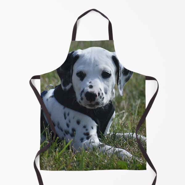 Item preview, Adorable Dalmatian Puppy Relaxing in Grass designed and sold by VanGaldo.