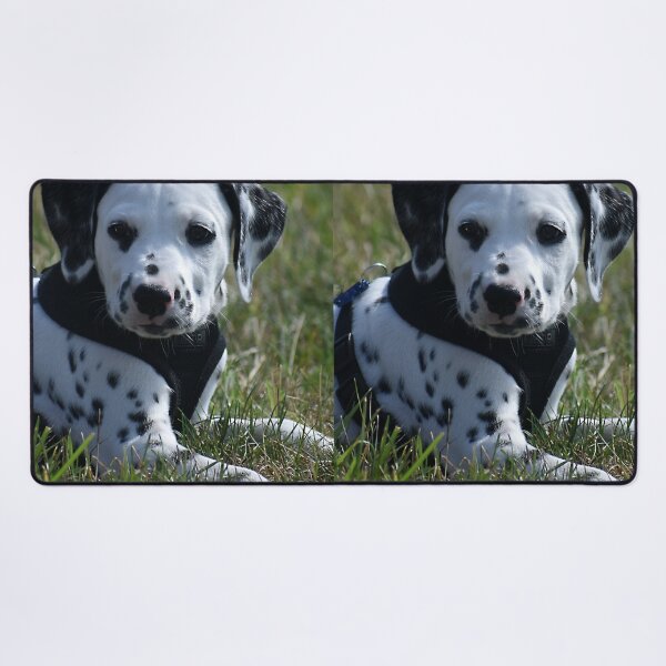Item preview, Adorable Dalmatian Puppy Relaxing in Grass designed and sold by VanGaldo.