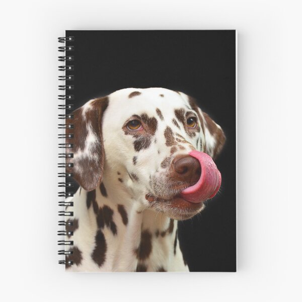 Item preview, Funny Dalmatian Dog Licking Its Nose designed and sold by VanGaldo.