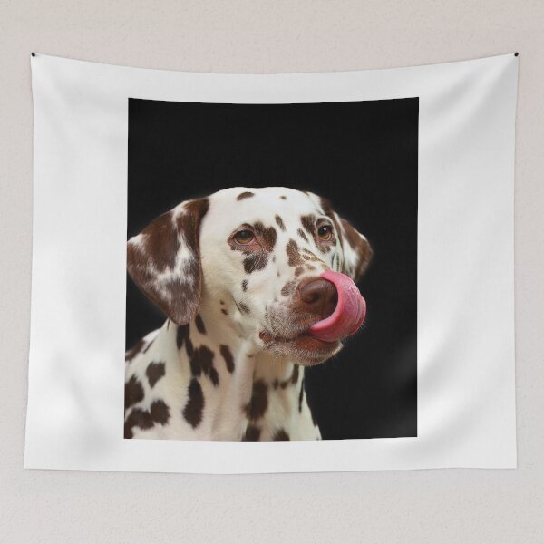 Item preview, Funny Dalmatian Dog Licking Its Nose designed and sold by VanGaldo.