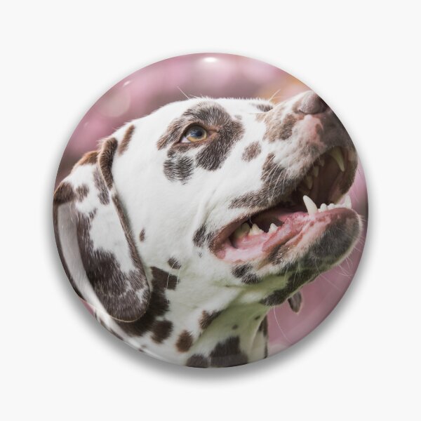 Item preview, Happy Dalmatian Dog in Cherry Blossoms designed and sold by VanGaldo.