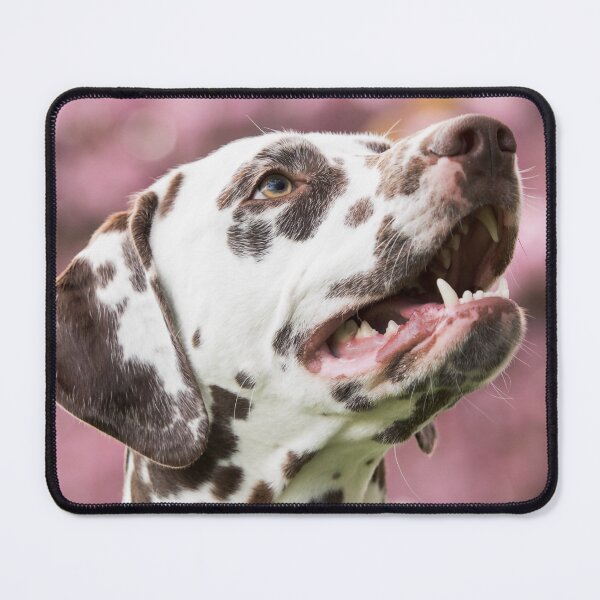 Item preview, Happy Dalmatian Dog in Cherry Blossoms designed and sold by VanGaldo.
