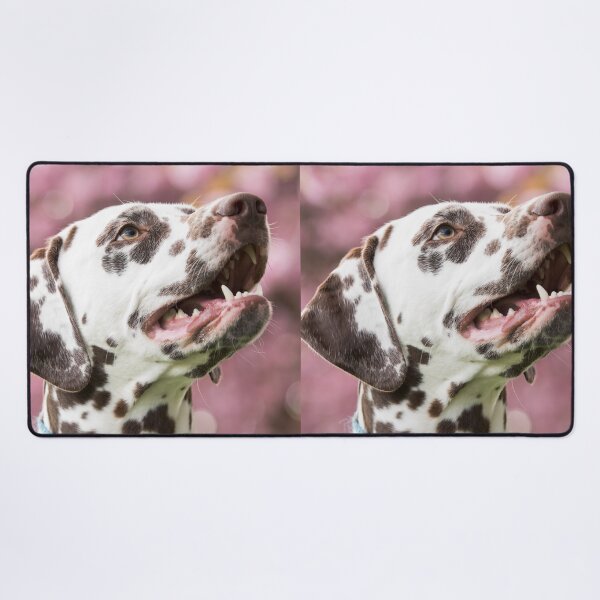 Item preview, Happy Dalmatian Dog in Cherry Blossoms designed and sold by VanGaldo.