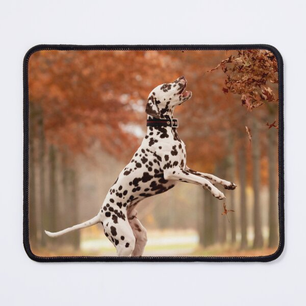 Item preview, Playful Dalmatian Dog Jumping in Autumn Leaves designed and sold by VanGaldo.