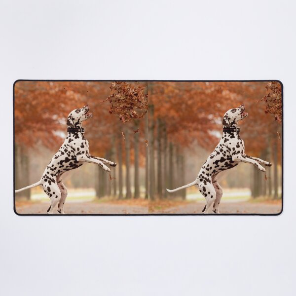 Item preview, Playful Dalmatian Dog Jumping in Autumn Leaves designed and sold by VanGaldo.