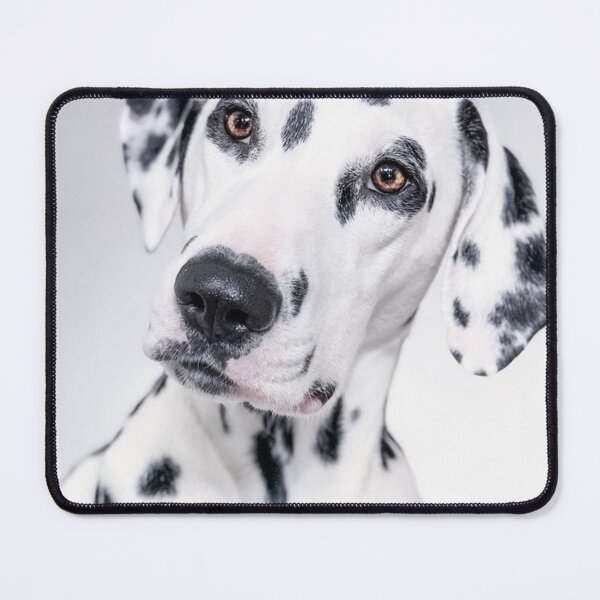 Item preview, Curious Dalmatian Dog Head Tilt Portrait designed and sold by VanGaldo.