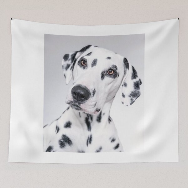 Item preview, Curious Dalmatian Dog Head Tilt Portrait designed and sold by VanGaldo.