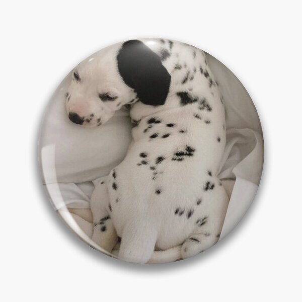 Item preview, Adorable Dalmatian Puppy Sleeping in Bed designed and sold by VanGaldo.