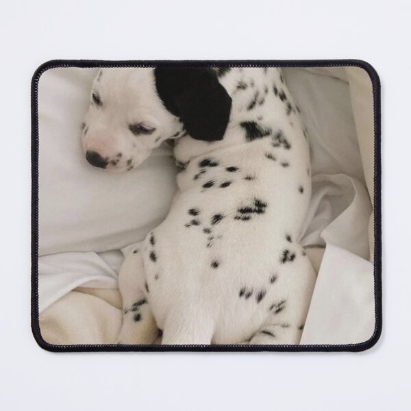 Item preview, Adorable Dalmatian Puppy Sleeping in Bed designed and sold by VanGaldo.