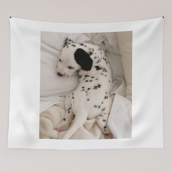 Item preview, Adorable Dalmatian Puppy Sleeping in Bed designed and sold by VanGaldo.