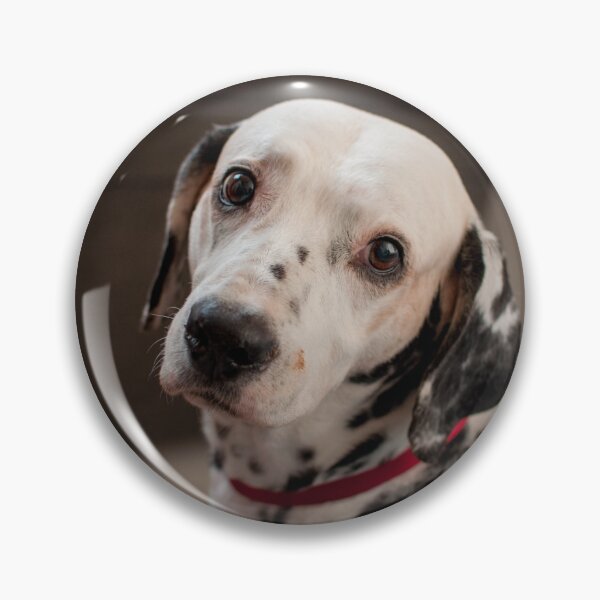 Item preview, Expressive Dalmatian Dog with Puppy Eyes designed and sold by VanGaldo.