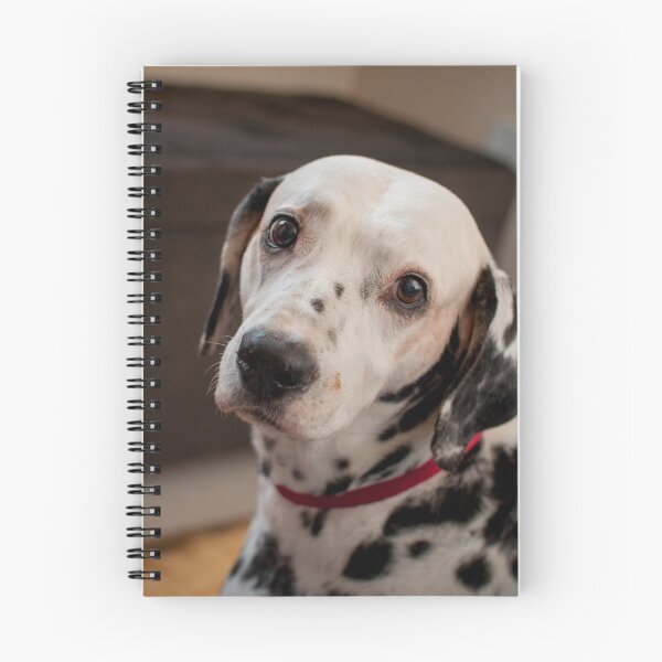 Item preview, Expressive Dalmatian Dog with Puppy Eyes designed and sold by VanGaldo.