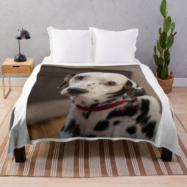 Item preview, Expressive Dalmatian Dog with Puppy Eyes designed and sold by VanGaldo.