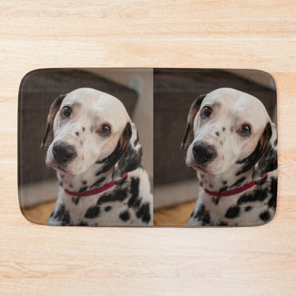 Item preview, Expressive Dalmatian Dog with Puppy Eyes designed and sold by VanGaldo.