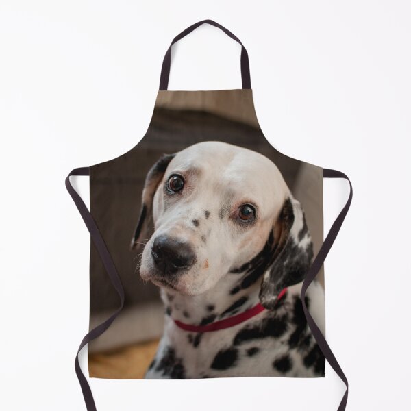 Item preview, Expressive Dalmatian Dog with Puppy Eyes designed and sold by VanGaldo.