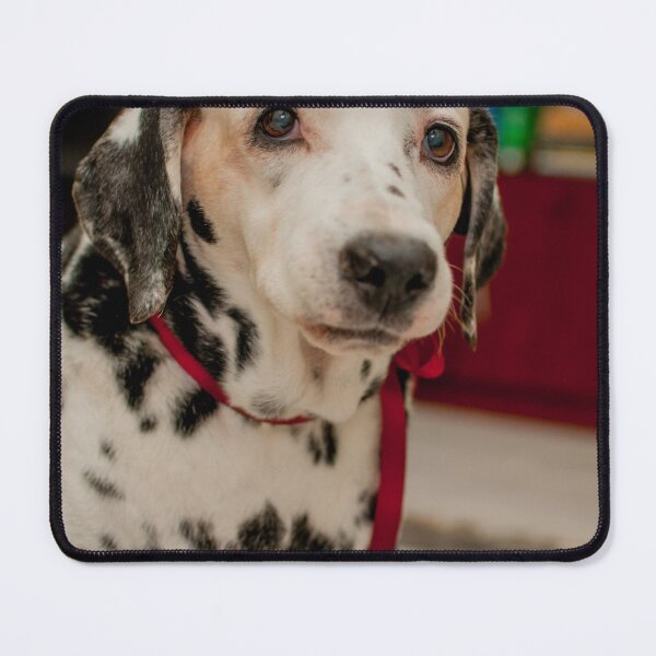 Item preview, Cute Spotted Dalmatian Wearing Red Bow designed and sold by VanGaldo.