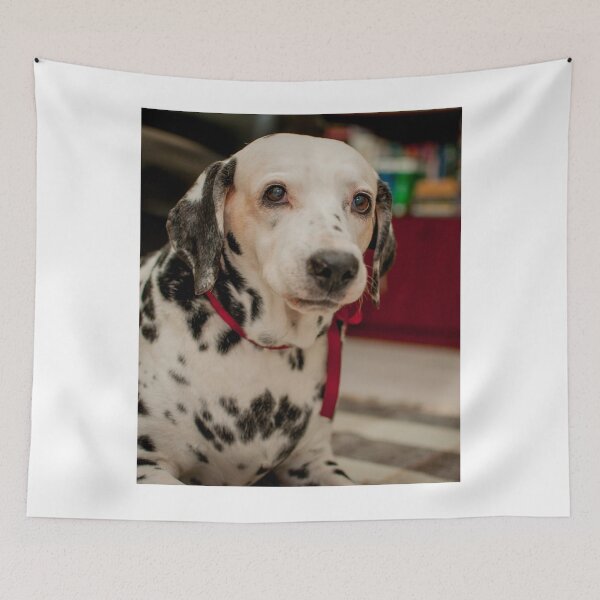 Item preview, Cute Spotted Dalmatian Wearing Red Bow designed and sold by VanGaldo.
