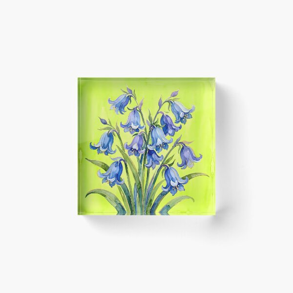 Item preview, Bluebell designed and sold by GraphicsClub.