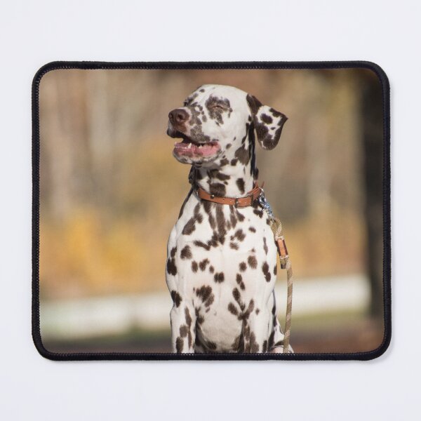 Item preview, Joyful Chocolate Dalmatian Dog Autumn Portrait designed and sold by VanGaldo.