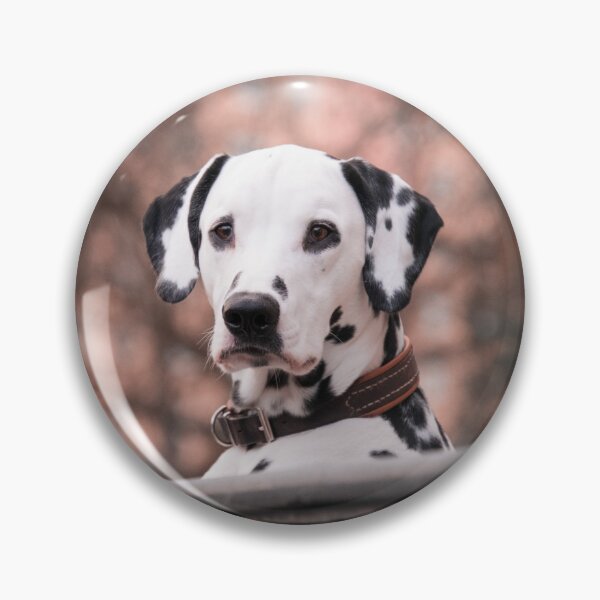 Item preview, Beautiful Dalmatian Dog in Autumn Woods designed and sold by VanGaldo.