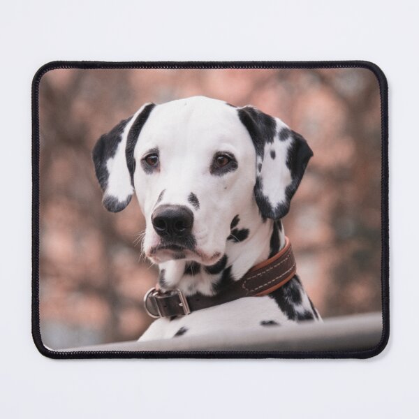 Item preview, Beautiful Dalmatian Dog in Autumn Woods designed and sold by VanGaldo.
