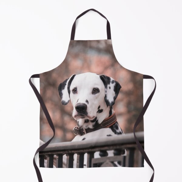 Item preview, Beautiful Dalmatian Dog in Autumn Woods designed and sold by VanGaldo.