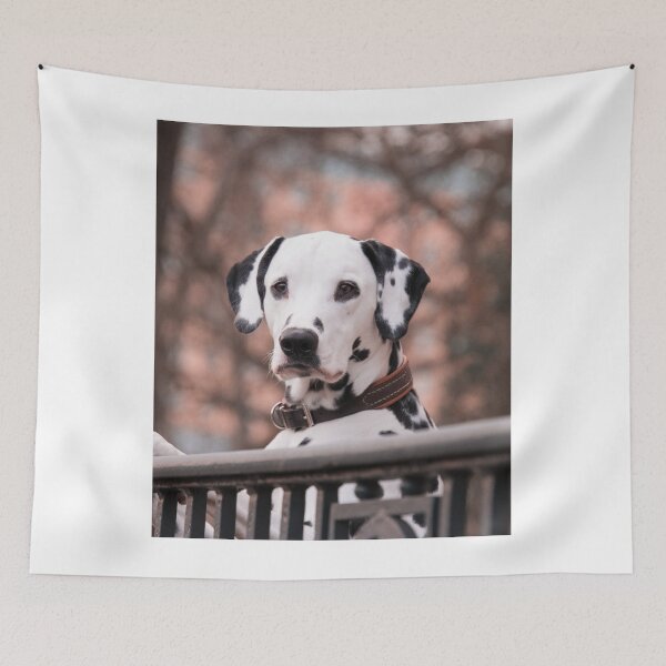 Item preview, Beautiful Dalmatian Dog in Autumn Woods designed and sold by VanGaldo.