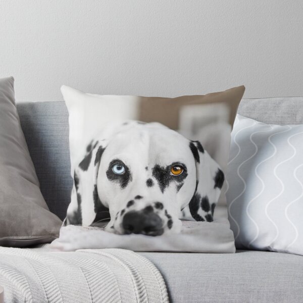 Artikelvorschau, Einzigartige Heterochromie bei einem Dalmatinerhund (Nahaufnahme) entworfen und verkauft von VanGaldo.