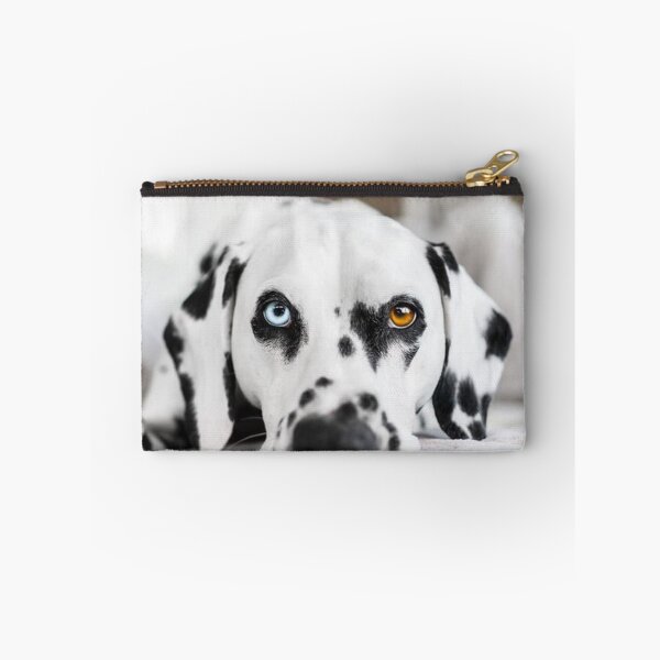 Item preview, Unique Heterochromia Dalmatian Dog Close Up designed and sold by VanGaldo.